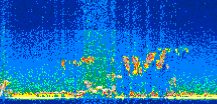 /calipso-imagery/data/BROWSE/production/V5-00/2010-10-01/2010-10-01_02-48-44_V5.00_2_thmb.png image missing