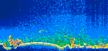 /calipso-imagery/data/BROWSE/production/V5-00/2010-10-01/2010-10-01_07-45-20_V5.00_1_thmb.png image missing