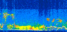 /calipso-imagery/data/BROWSE/production/V5-00/2010-10-01/2010-10-01_11-03-05_V5.00_3_thmb.png image missing