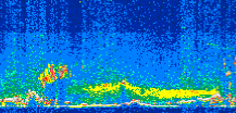 /calipso-imagery/data/BROWSE/production/V5-00/2010-10-01/2010-10-01_12-41-56_V5.00_2_thmb.png image missing