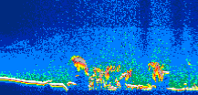 /calipso-imagery/data/BROWSE/production/V5-00/2010-10-01/2010-10-01_17-38-36_V5.00_1_thmb.png image missing