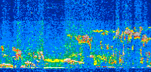 /calipso-imagery/data/BROWSE/production/V5-00/2010-10-01/2010-10-01_17-38-36_V5.00_2_thmb.png image missing