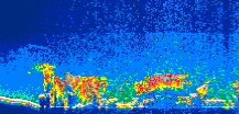 /calipso-imagery/data/BROWSE/production/V5-00/2010-10-01/2010-10-01_20-56-22_V5.00_1_thmb.png image missing