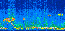 /calipso-imagery/data/BROWSE/production/V5-00/2010-10-01/2010-10-01_20-56-22_V5.00_2_thmb.png image missing