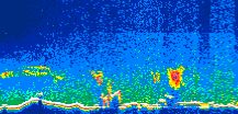 /calipso-imagery/data/BROWSE/production/V5-00/2010-10-07/2010-10-07_02-10-59_V5.00_1_thmb.png image missing