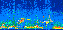 /calipso-imagery/data/BROWSE/production/V5-00/2010-10-07/2010-10-07_02-10-59_V5.00_2_thmb.png image missing