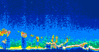/calipso-imagery/data/BROWSE/production/V5-00/2010-10-07/2010-10-07_12-04-15_V5.00_4_thmb.png image missing