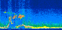 /calipso-imagery/data/BROWSE/production/V5-00/2010-10-07/2010-10-07_18-39-41_V5.00_3_thmb.png image missing