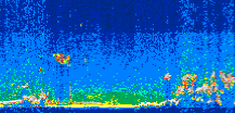 /calipso-imagery/data/BROWSE/production/V5-00/2010-10-07/2010-10-07_20-18-36_V5.00_3_thmb.png image missing