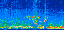 /calipso-imagery/data/BROWSE/production/V5-00/2010-10-09/2010-10-09_00-19-30_V5.00_2_thmb.png image missing