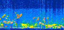 /calipso-imagery/data/BROWSE/production/V5-00/2010-10-09/2010-10-09_11-51-36_V5.00_3_thmb.png image missing