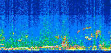 /calipso-imagery/data/BROWSE/production/V5-00/2010-11-09/2010-11-09_01-11-33_V5.00_2_thmb.png image missing