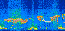 /calipso-imagery/data/BROWSE/production/V5-00/2010-11-09/2010-11-09_02-50-23_V5.00_2_thmb.png image missing