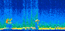 /calipso-imagery/data/BROWSE/production/V5-00/2010-11-09/2010-11-09_09-25-54_V5.00_2_thmb.png image missing