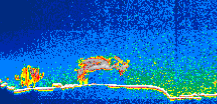 /calipso-imagery/data/BROWSE/production/V5-00/2010-11-09/2010-11-09_14-22-35_V5.00_1_thmb.png image missing