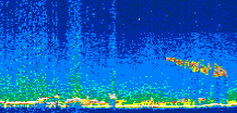 /calipso-imagery/data/BROWSE/production/V5-00/2010-11-09/2010-11-09_19-19-10_V5.00_3_thmb.png image missing