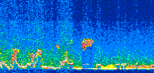 /calipso-imagery/data/BROWSE/production/V5-00/2010-12-09/2010-12-09_07-57-30_V5.00_2_thmb.png image missing