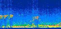 /calipso-imagery/data/BROWSE/production/V5-00/2010-12-09/2010-12-09_14-33-06_V5.00_3_thmb.png image missing