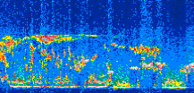 /calipso-imagery/data/BROWSE/production/V5-00/2010-12-09/2010-12-09_17-50-51_V5.00_3_thmb.png image missing