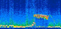 /calipso-imagery/data/BROWSE/production/V5-00/2010-12-09/2010-12-09_21-08-36_V5.00_3_thmb.png image missing