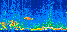 /calipso-imagery/data/BROWSE/production/V5-00/2011-01-29/2011-01-29_03-33-13_V5.00_2_thmb.png image missing