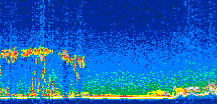 /calipso-imagery/data/BROWSE/production/V5-00/2011-01-29/2011-01-29_08-29-54_V5.00_3_thmb.png image missing