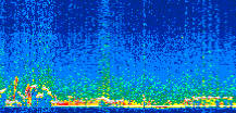 /calipso-imagery/data/BROWSE/production/V5-00/2011-01-29/2011-01-29_20-02-05_V5.00_2_thmb.png image missing