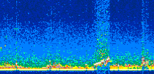 /calipso-imagery/data/BROWSE/production/V5-00/2011-02-05/2011-02-05_00-22-10_V5.00_3_thmb.png image missing