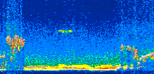 /calipso-imagery/data/BROWSE/production/V5-00/2011-02-05/2011-02-05_08-36-41_V5.00_3_thmb.png image missing