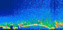 /calipso-imagery/data/BROWSE/production/V5-00/2011-02-05/2011-02-05_10-15-32_V5.00_1_thmb.png image missing