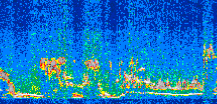 /calipso-imagery/data/BROWSE/production/V5-00/2011-02-05/2011-02-05_11-54-27_V5.00_2_thmb.png image missing