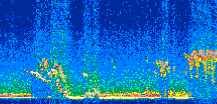 /calipso-imagery/data/BROWSE/production/V5-00/2011-02-10/2011-02-10_00-41-16_V5.00_2_thmb.png image missing