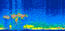 /calipso-imagery/data/BROWSE/production/V5-00/2011-02-10/2011-02-10_13-52-23_V5.00_3_thmb.png image missing
