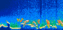 /calipso-imagery/data/BROWSE/production/V5-00/2011-02-16/2011-02-16_00-04-51_V5.00_1_thmb.png image missing