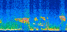 /calipso-imagery/data/BROWSE/production/V5-00/2011-02-16/2011-02-16_03-22-41_V5.00_2_thmb.png image missing