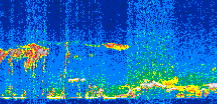 /calipso-imagery/data/BROWSE/production/V5-00/2011-02-16/2011-02-16_05-01-31_V5.00_3_thmb.png image missing