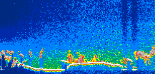 /calipso-imagery/data/BROWSE/production/V5-00/2011-02-16/2011-02-16_06-40-26_V5.00_1_thmb.png image missing