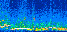 /calipso-imagery/data/BROWSE/production/V5-00/2011-02-16/2011-02-16_21-30-28_V5.00_2_thmb.png image missing