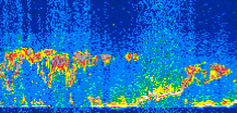 /calipso-imagery/data/BROWSE/production/V5-00/2011-02-18/2011-02-18_04-49-23_V5.00_3_thmb.png image missing