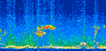 /calipso-imagery/data/BROWSE/production/V5-00/2011-02-18/2011-02-18_08-07-13_V5.00_2_thmb.png image missing