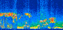 /calipso-imagery/data/BROWSE/production/V5-00/2011-02-19/2011-02-19_03-53-55_V5.00_3_thmb.png image missing