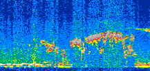/calipso-imagery/data/BROWSE/production/V5-00/2011-02-20/2011-02-20_01-19-28_V5.00_2_thmb.png image missing