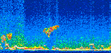 /calipso-imagery/data/BROWSE/production/V5-00/2011-02-20/2011-02-20_07-55-04_V5.00_2_thmb.png image missing