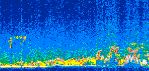 /calipso-imagery/data/BROWSE/production/V5-00/2011-02-20/2011-02-20_07-55-04_V5.00_3_thmb.png image missing