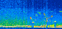 /calipso-imagery/data/BROWSE/production/V5-00/2011-02-20/2011-02-20_09-33-59_V5.00_2_thmb.png image missing