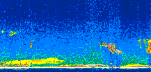 /calipso-imagery/data/BROWSE/production/V5-00/2011-02-20/2011-02-20_14-30-35_V5.00_3_thmb.png image missing