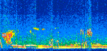 /calipso-imagery/data/BROWSE/production/V5-00/2011-02-20/2011-02-20_22-45-06_V5.00_2_thmb.png image missing