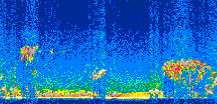 /calipso-imagery/data/BROWSE/production/V5-00/2011-02-22/2011-02-22_15-57-22_V5.00_3_thmb.png image missing