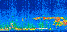 /calipso-imagery/data/BROWSE/production/V5-00/2011-02-22/2011-02-22_22-32-58_V5.00_3_thmb.png image missing