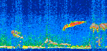 /calipso-imagery/data/BROWSE/production/V5-00/2011-02-24/2011-02-24_05-51-57_V5.00_2_thmb.png image missing
